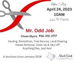 Mr. Odd Job