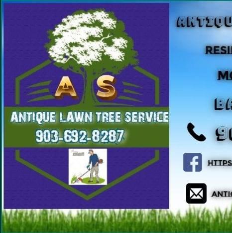 Antique Lawn Tree Services