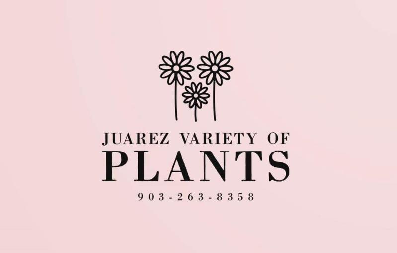 Juarez Variety of Plants!