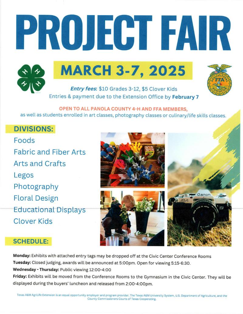 Project Fair