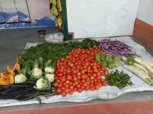 Mission Carthage Produce Drop