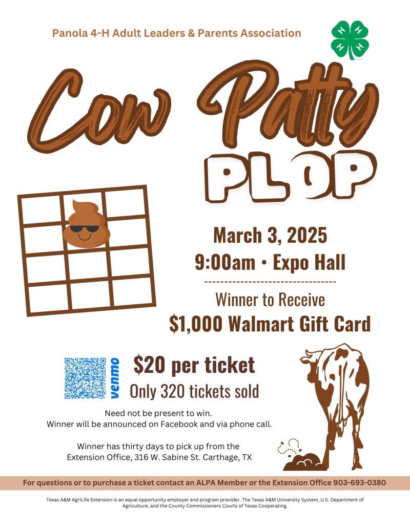 4-H Cow Patty Plop